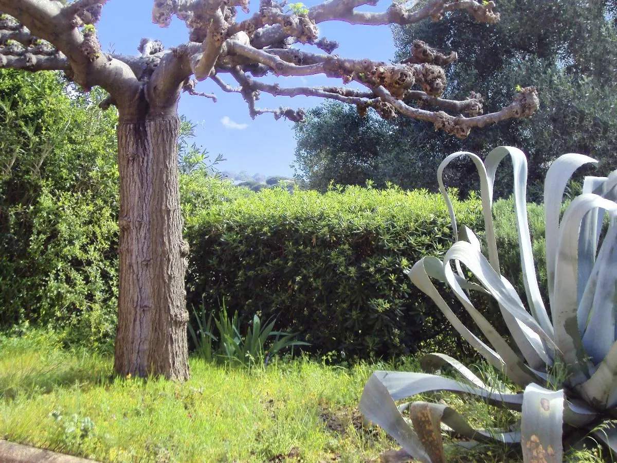 Appartement De 2 Chambres Avec Jardin Clos Et Wifi A Cavalaire Sur Mer A 1 Km De La Plage 0*, Cavalaire-sur-Mer France